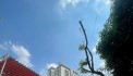 NGộp THiên Phước - Tân Bình - 50m2 - 3 tầng - HXH Kinh Doanh